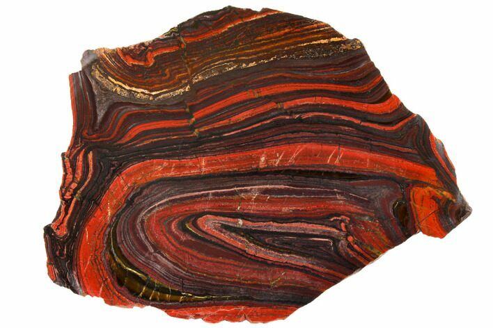 Polished Tiger Iron Stromatolite - Billion Years #129454